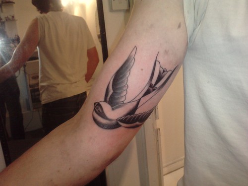 swallow tattoo pictures. Swallow Tattoo