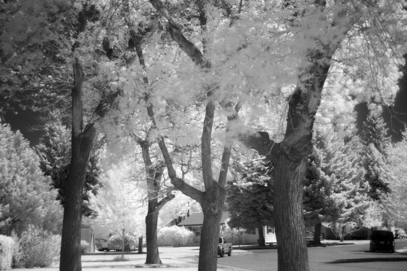 Infrared Images