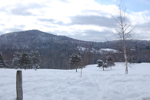 View from the top  of the sledding hill