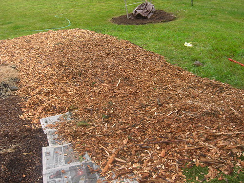 Layer of wood chips to make a garden bed