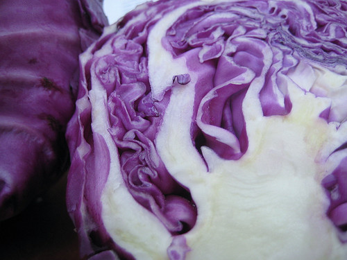 cabbage crevices.