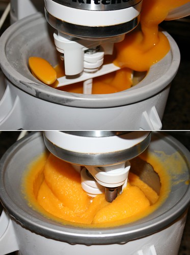 Mango going in the ice cream machine