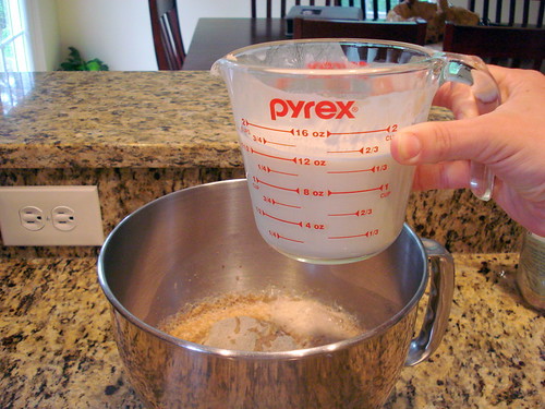 Yeast goes into the bowl