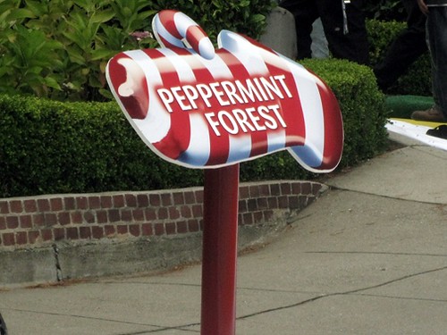 peppermint forest candyland Lombard Street