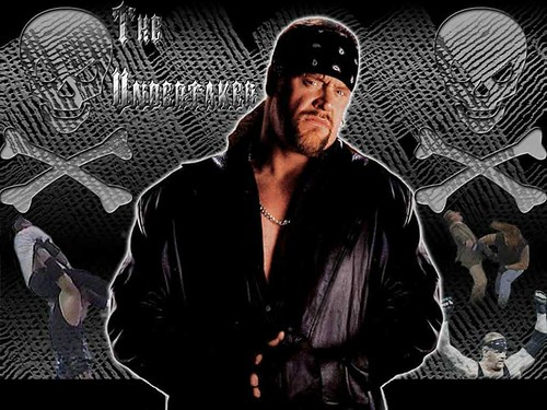 wwe undertaker wallpaper. WWF WWE Undertaker Wallpaper