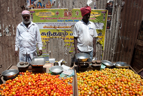 Scène De Vie Commerçante Les Vendeurs De Tomates