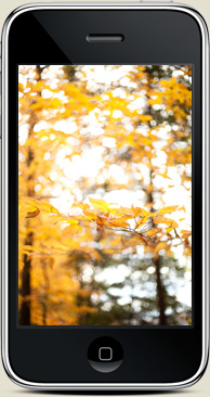 iPhone wallpaper Jamie Beck Photographer fall autumn 2009 fromme-toyou.tumbr.com