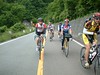 白山スーパー林道サイクリング