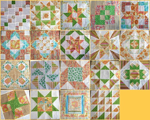 The Wonderful Blocks from the Sweet Dream Quilting Block Ladies!