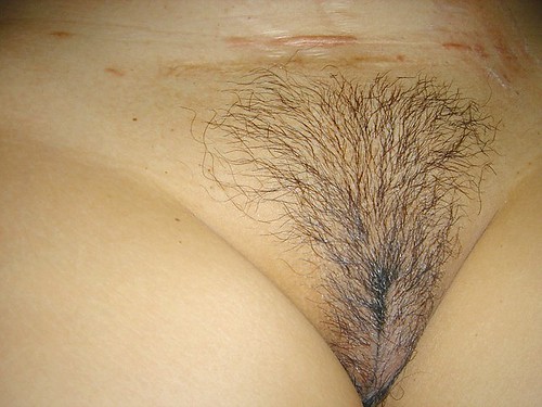biggest hairy pretty mature pussy pics: hairypussy