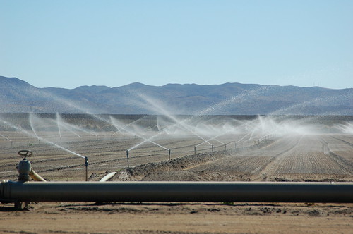 Sprinklers irrigate a desert farm near San Diego.