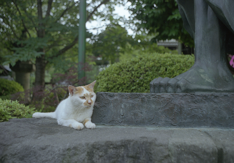 銅像の猫