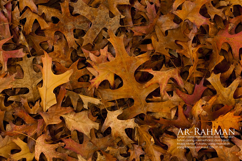 autumn wallpaper. Autumn Wallpaper.