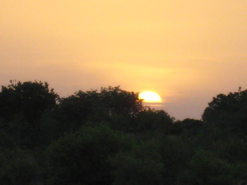 Dawn at Pendjari