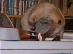 Pua cleans the ketchup bottle