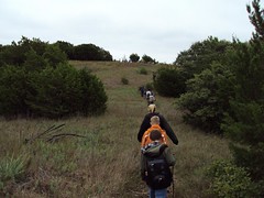 Hiking on the top of the ridge by Camp Classen