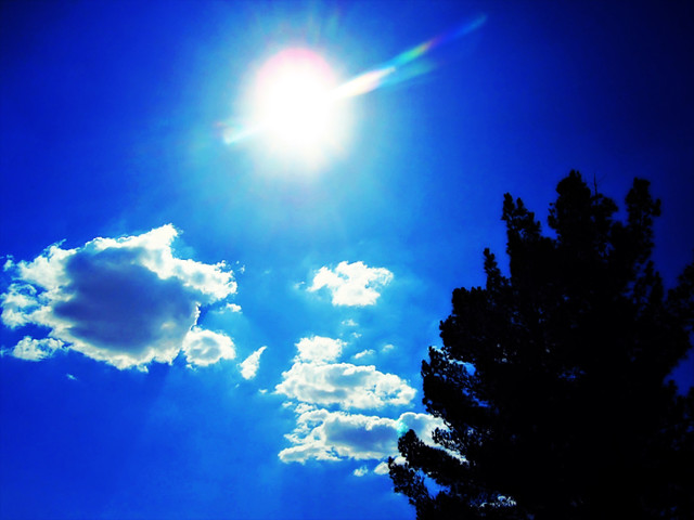 August 12, 2010: tree, cloud, sun & sky