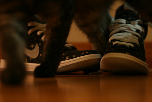 Wednesday: New Shoes with Cat