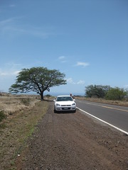 Road to Waikoloa Village