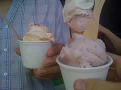 Bi-rite creamery ice cream
