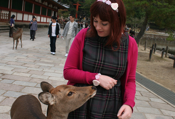 This deer was the cheekiest of all, he stopped at nothing to get deer cookie!