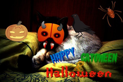 Happy Catoween and Halloween!