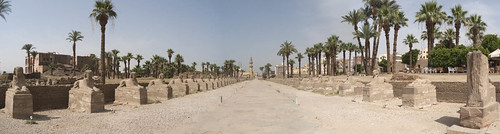 P1030798_Egypt_Luxor_Temple_panorama_01_egypt_luxor_luxorTemple