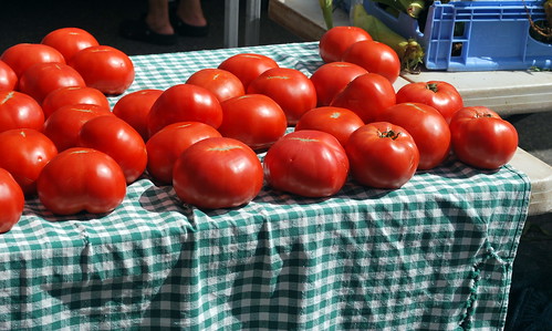 Tomatoes on Steroids