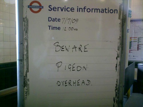 London Underground Signalling. London Underground Pigeon