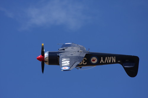 Warbird picture - Hawker Sea Fury upside down