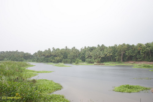 Thirunellai River