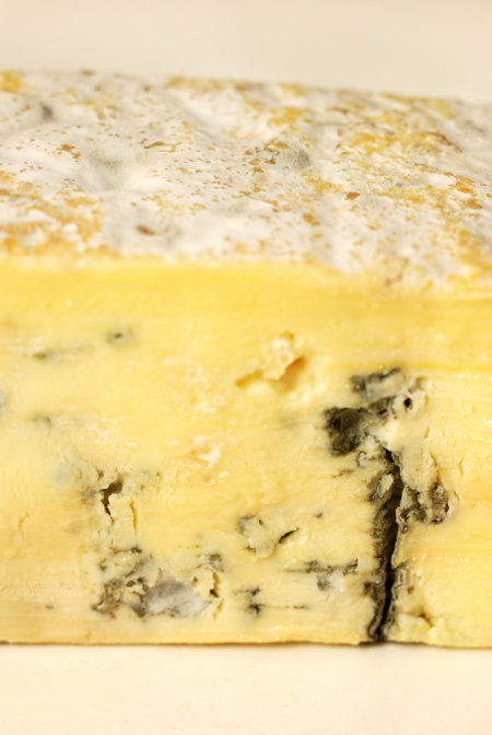 south cape blue cheese© by Haalo