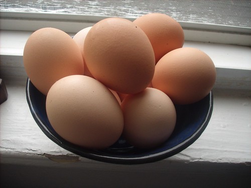 Eggs on the Windowsill