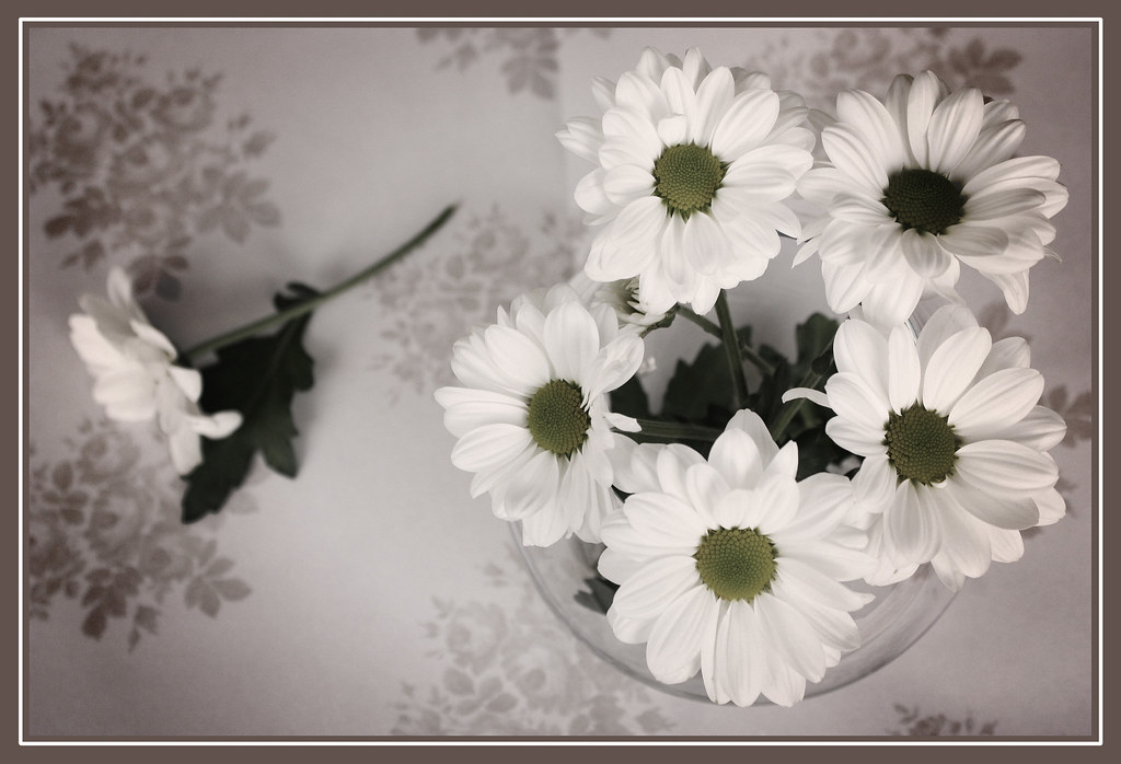 Vintage white flowers