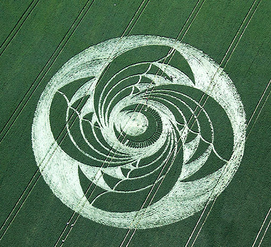 crop-circles-field-photo-15