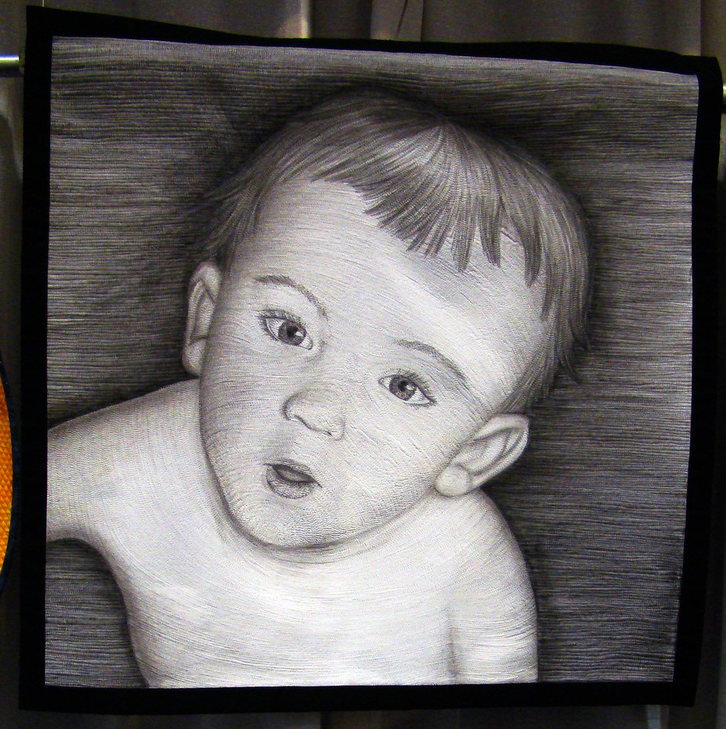 DSC02661 Quilt 3017 Brian at 10 Months by Tanya Brown cropped