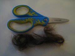 Scissors, and What They Cut