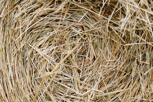 center of a bale of hay