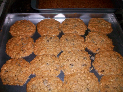 oatmeal-raisin cookies