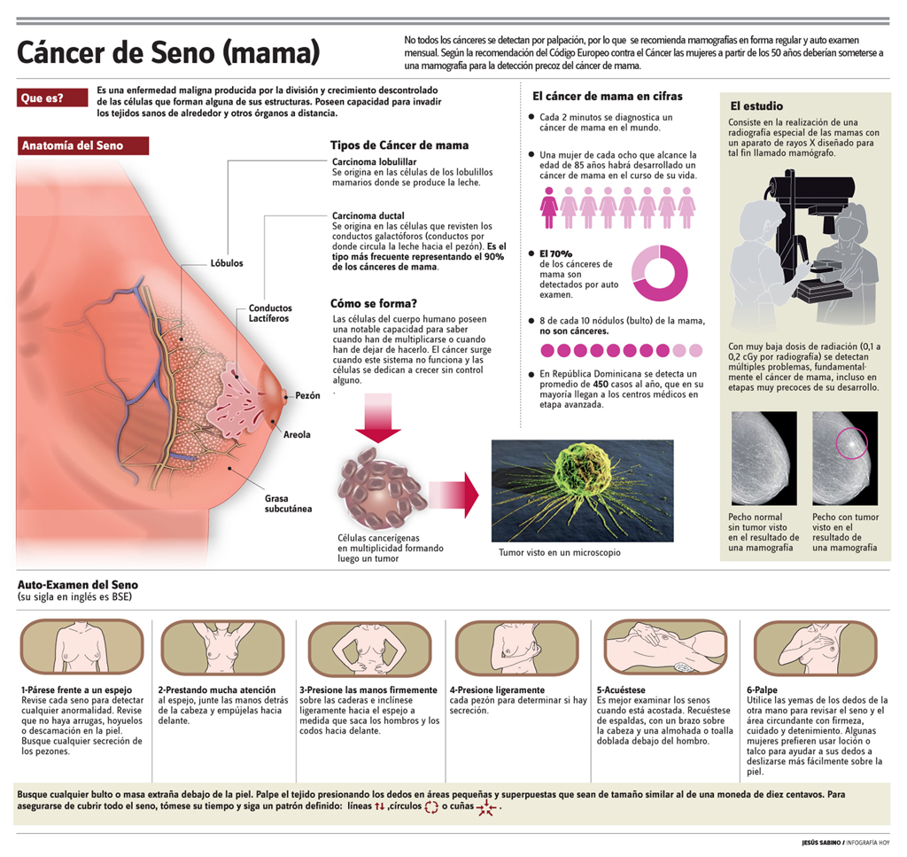 Resultado de imagen para infografia cancer