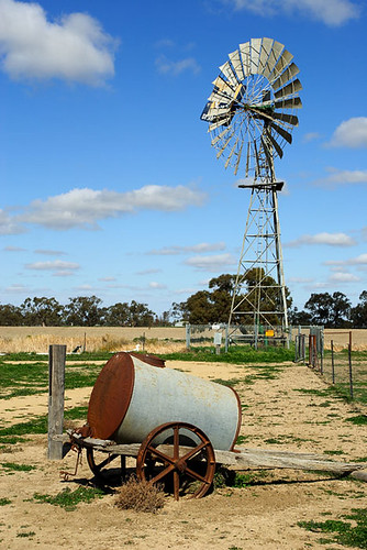 Shear Outback, Hay, New South Wales, Australia, The Long Paddock  IMG_5907_Hay