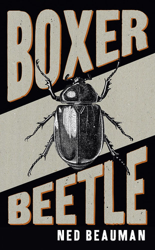 Boxer Beetle_summary