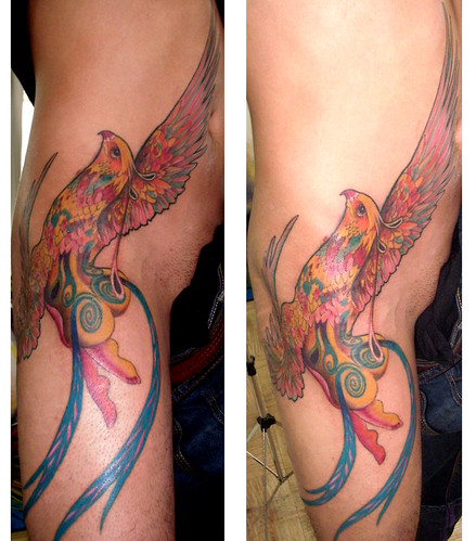 tattoo de uma ave fenix Tattoos Gallery