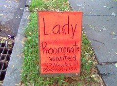 Lady roommate wanted