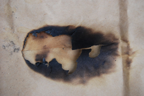 Burnt Paper Texture 05