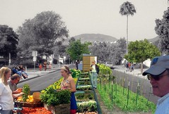regenerative street median, imagined (by: Brian Alessi, courtesy of Reburbia)