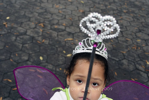 Fairy-Princess2