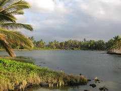 Ancient fishing ponds, A Bay, Waikoloa