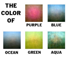 The Color Of