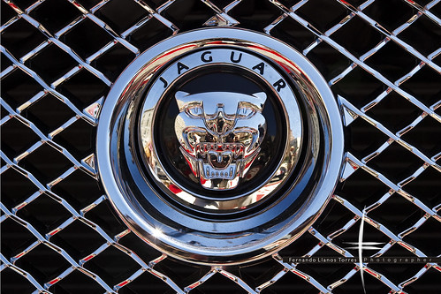 Jaguar Logo Pics. Jaguar logo. Simbolo Jaguar